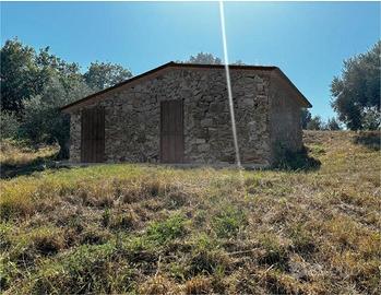 Rustico con 7000 mq di terreno, zona Vetulonia