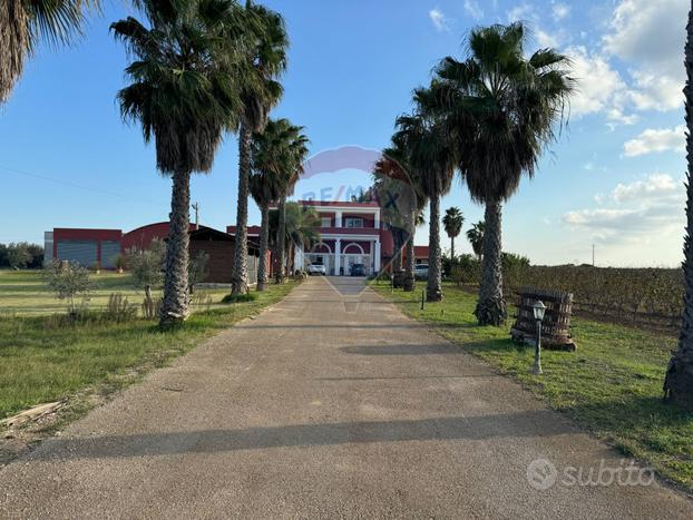 Azienda Agricola - Copertino