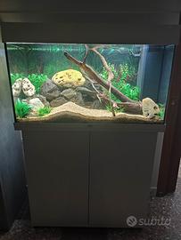 acquario juwel rio 125