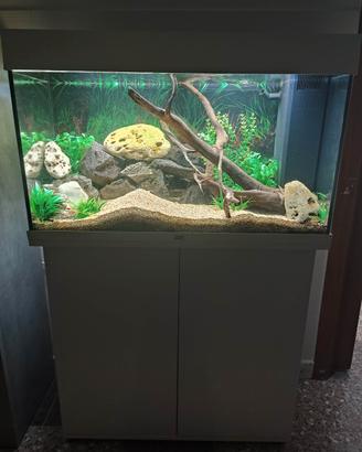 acquario juwel rio 125