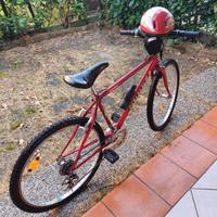 Mountain Bike Shimano Robert