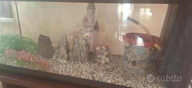 Acquario 100 litri