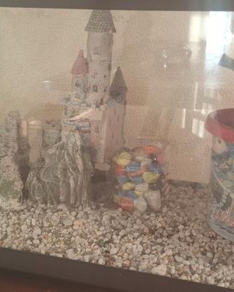 Acquario 100 litri