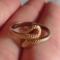 Anello serpente in acciaio 