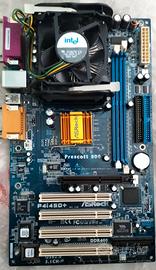 Scheda madre Prescott 800