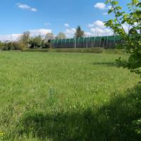 CONEGLIANO ampio terreno edificabile C603