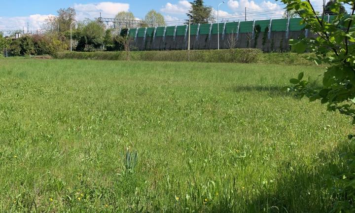 CONEGLIANO ampio terreno edificabile C603