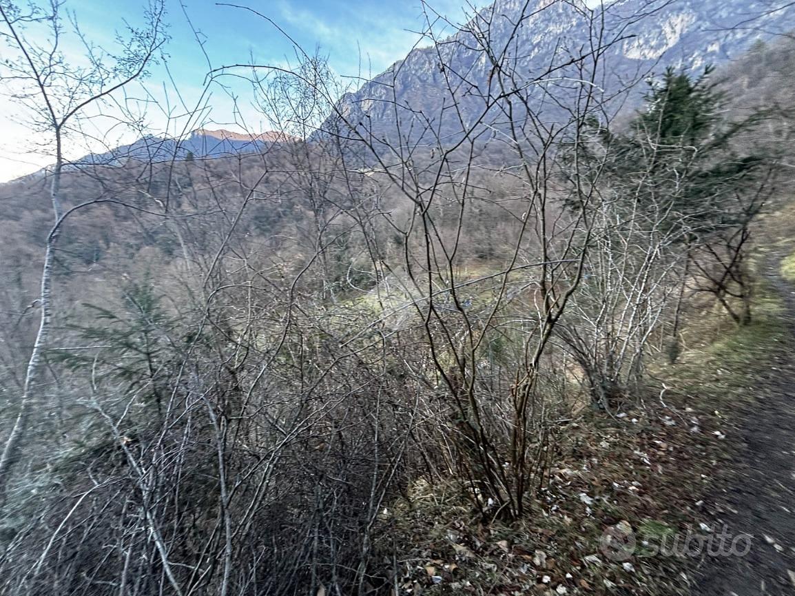 TER. AGRICOLO A LIERNA - Vista 5