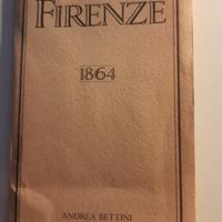 Pianta di Firenze 1864