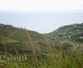 Terreno Agricolo Pollica [Cod. rif 3121268VCG]