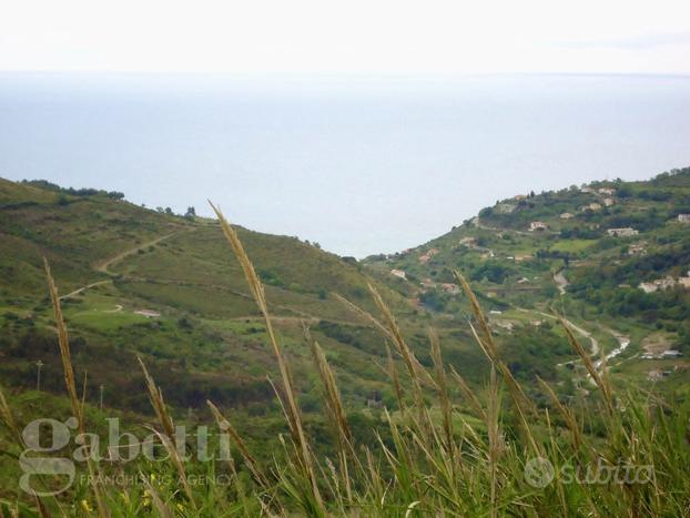 Terreno Agricolo Pollica [Cod. rif 3121268VCG]