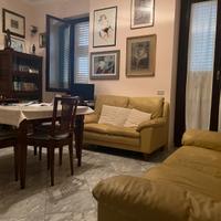 Casina carina carina