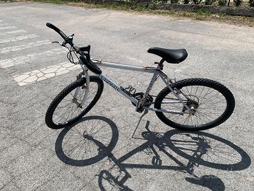 Biciclette torpado
