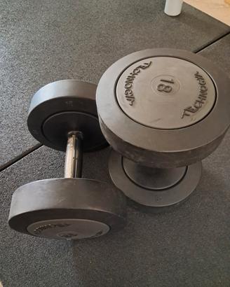 manubri technogym 