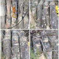 antichi coppi siciliani 