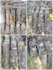 antichi coppi siciliani 