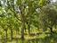 Immagine 27