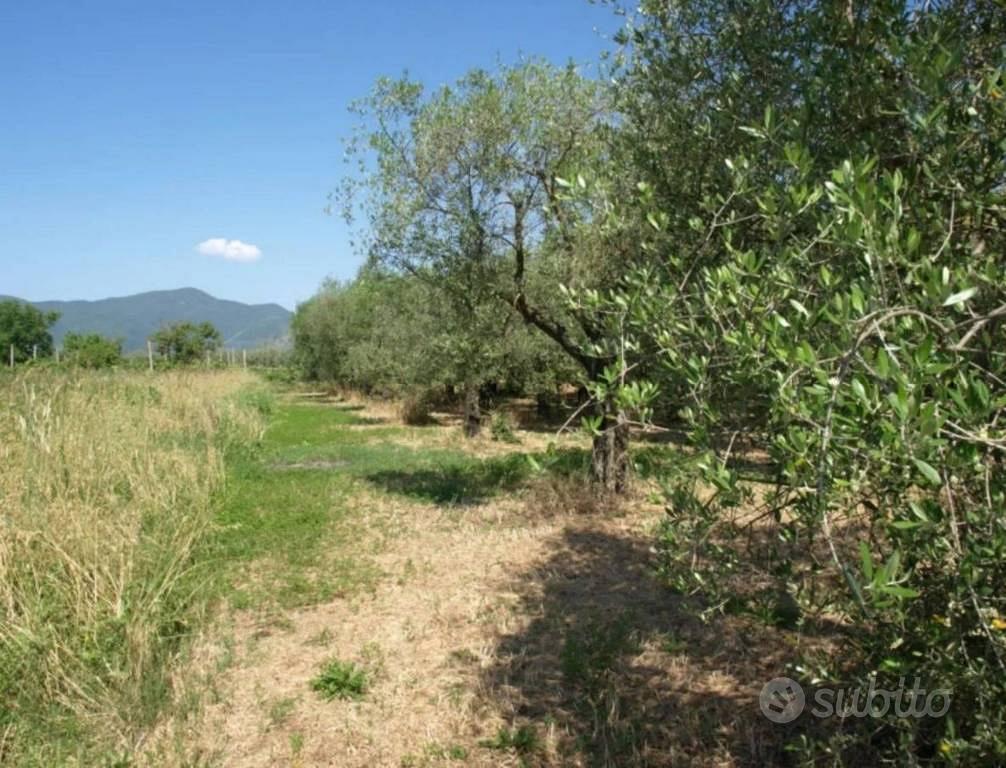 Immobile in asta di 5649 m² a Fonni - Vista 2