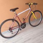 bicicletta mountain bike