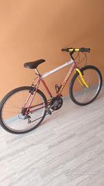 bicicletta mountain bike