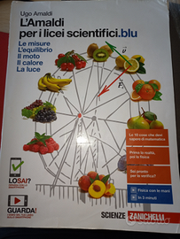 9788808253989 L'Amaldi 2.0