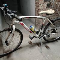 bicicletta MTB 