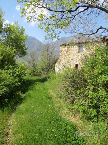 Rudere cistercense con terreno agricolo e fonte