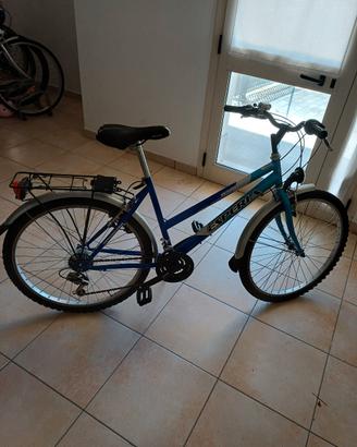 bicicletta