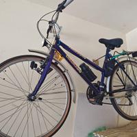 Bicicletta da donna