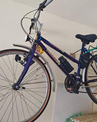 Bicicletta da donna