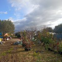 Terreno Agricolo