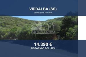 Immobile in asta di 20085 m² a Viddalba