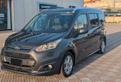 Ford Tourneo Connect Connect7 1.6 TDCi 115 CV Tita