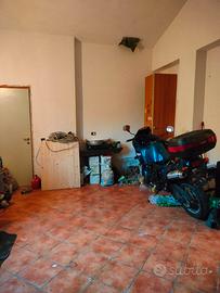 Triumph Tiger 900 - 1996