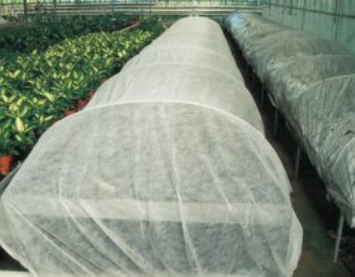 AGROVEL TNT 23gr 1,2x1500mt