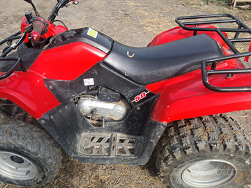 Quad kymco 50cc targato