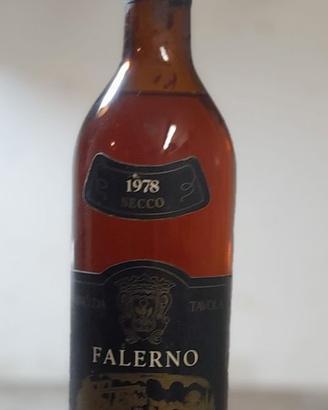 Vini -Falerno, Trebbiano, Fassati, Barolo, Barbera