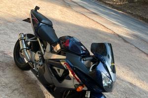 Cbr 929 rr