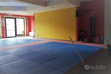 Immobile commerciale