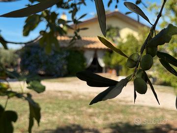 Casa singola con ampio giardino recintato