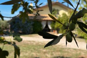 Casa singola con ampio giardino recintato
