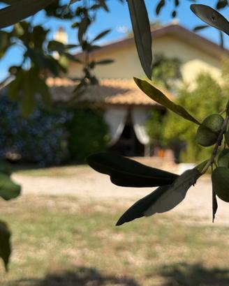 Casa singola con ampio giardino recintato
