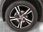 Immagine 11