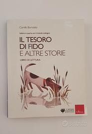 Libro lettura Il tesoro di Fido 4 elementare