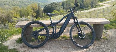 E bike full