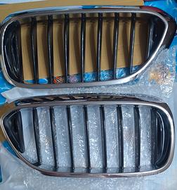 Reni griglie anteriori Bmw