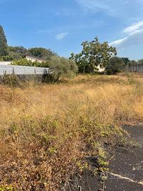 Terreno mq. 10.413 con progetto approvato