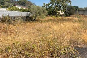 Terreno mq. 10.413 con progetto approvato