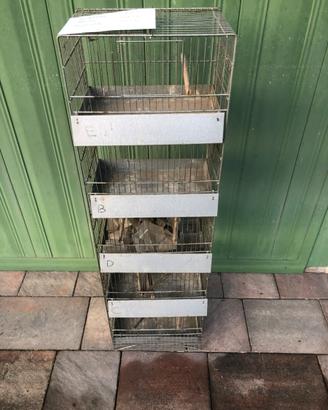 Gabbia multipla uccelli