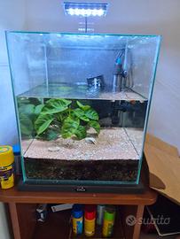 Acquario 30L design